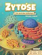 Zytose: Ein Spiel ber Zellbiologie / Cytosis: A Cell Biology Game