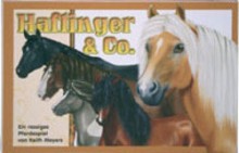 Haflinger & Co