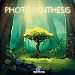 /Photosynthesis  / Photosynthese